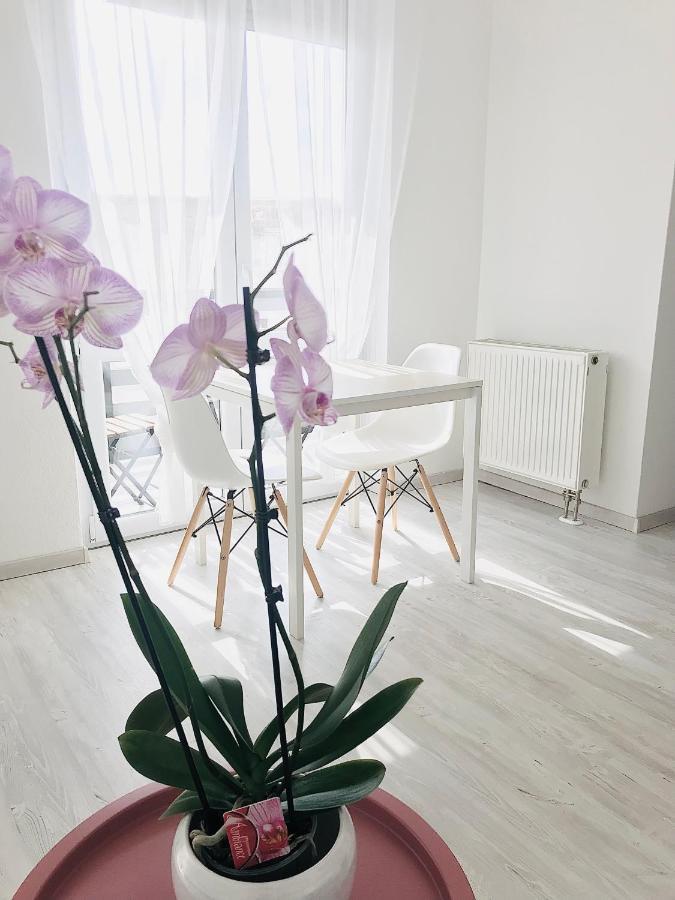 Belvarosi Studio Apartman Kecskemét Buitenkant foto